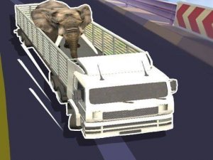 Wildlife Transport Driver