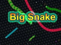 EG Big Snake Online Arcade Game