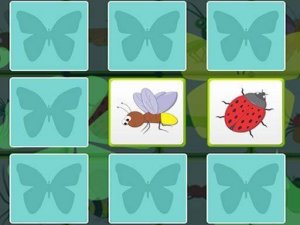 Little Bug Hunt: Picture Pairs