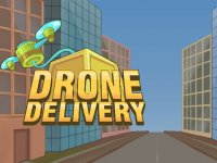 Drone Delivery Online Game