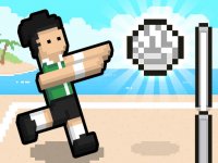 Volley Random Online Game