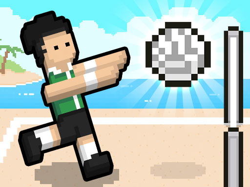 Volley Random Online Game