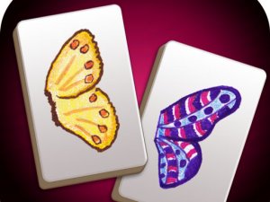 Butterfly Connect Puzzle Game
