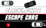 Black & White Escape Cars: Dual Control Driving Game