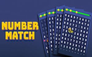 Digit Duo Grid Puzzle
