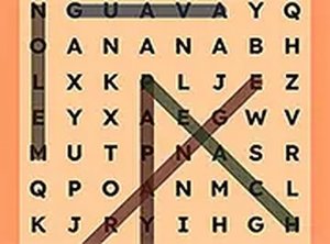 Letter Grid Explorer: Word Find Challenge