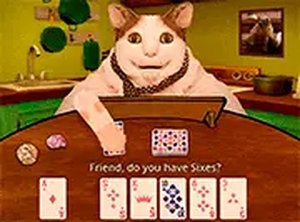 Feline Match Quest