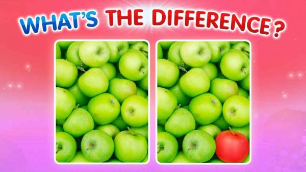 What's The Difference? Spot the Difference Online Puzzle Game